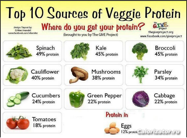 top 10 veggie protein