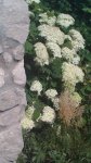 IMG-20140717-WA0015