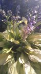 IMG-20140717-WA0012