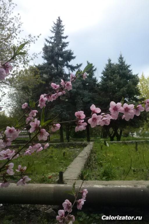 CAM00845