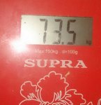 20160408 093140