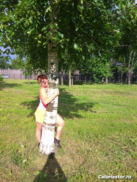 IMG 20170625 174141