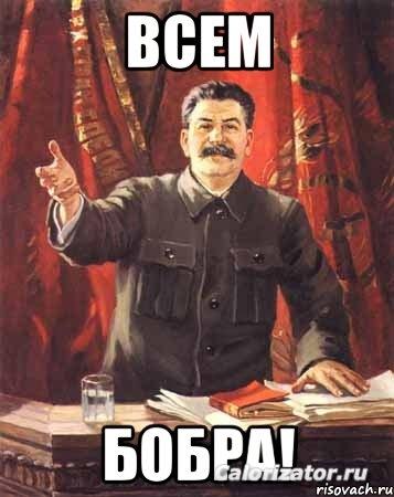 stalin 10586464 orig