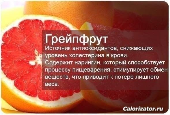 523d645d1121bfe9190fca7f69ff5aad