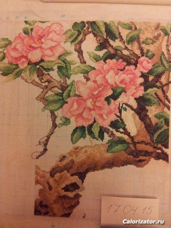 20150417 204011