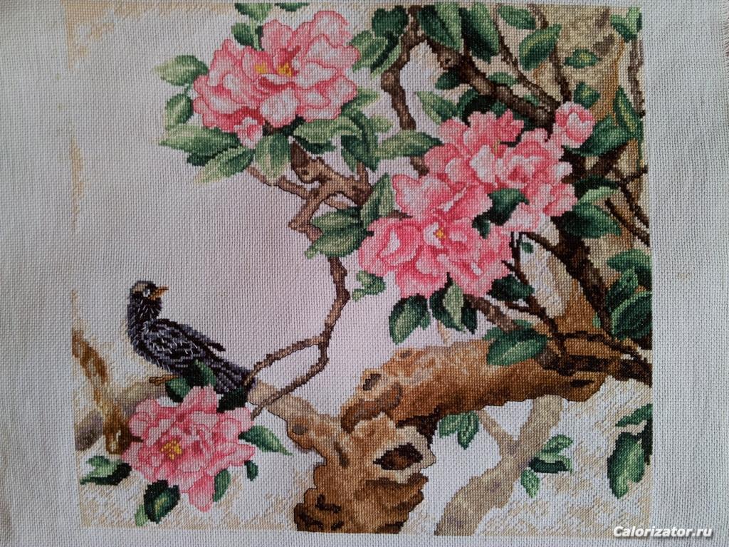 20150423 120107