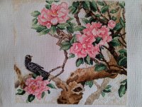 20150423 120107