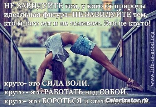 ОТ НОРМЫ ДО ИДЕАЛА: 19.06.2014