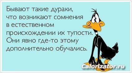 ОТ НОРМЫ ДО ИДЕАЛА: 14.07.2014