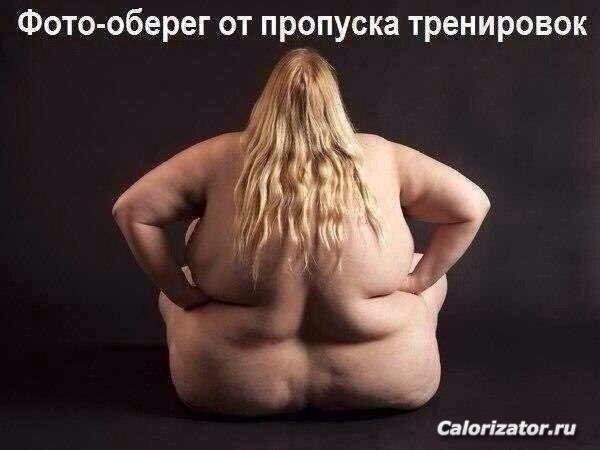 n7P7sp6njOQ