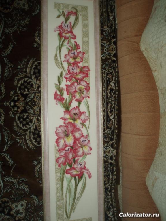 P7270167