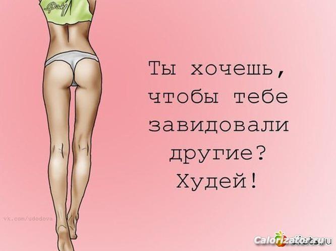 1690212 52679-550x500