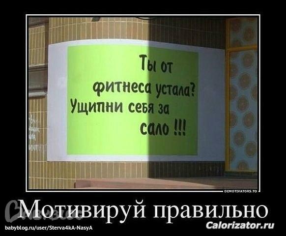 ee2e6c67a8a795a49696bc80fc54a812