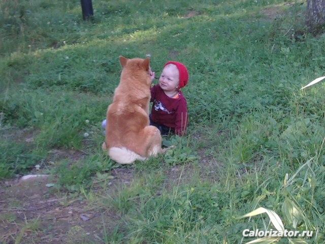 Два друга
