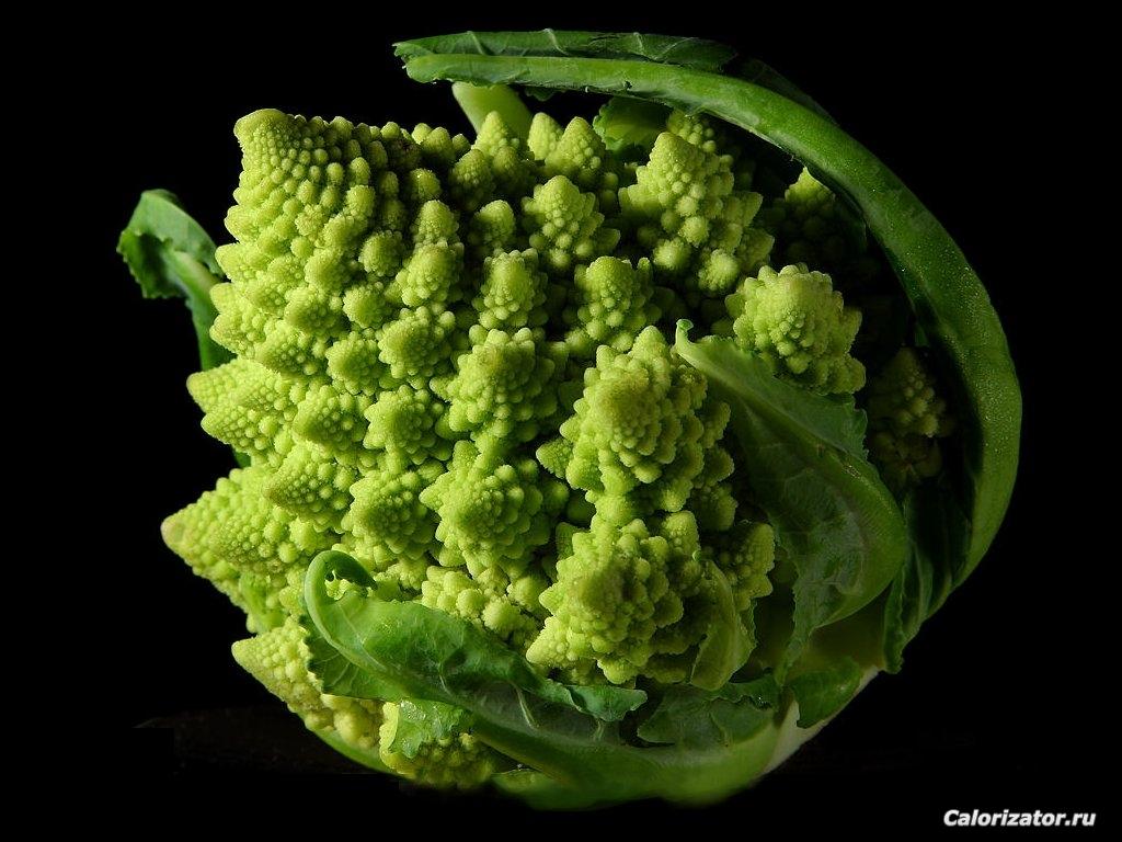 Fractal Broccoli