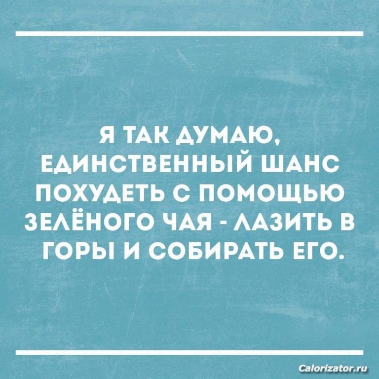 TjHhW4aquAo