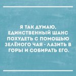 TjHhW4aquAo