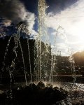 IMG 20170506 202458