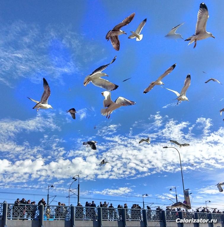 IMG 20180311 200808 786