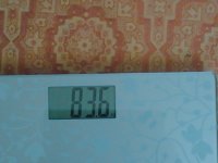 IMG 20150301 11448