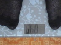 IMG 20150308 074816