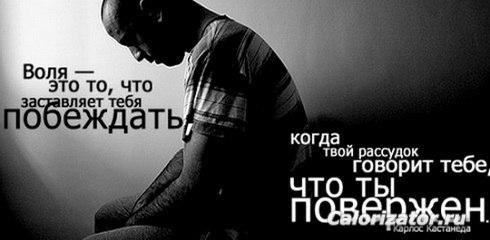 ВСЁ ЗАНОВО: 16.11.2014