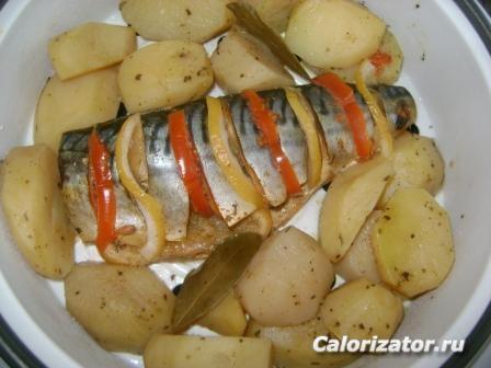 скумбрия с картофелем