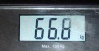 IMG 1973