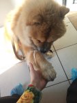 20140924 121830