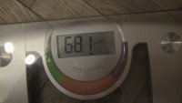 IMG 0287
