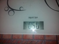 IMG 20160219 073117