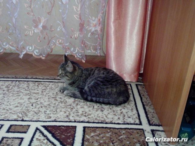 IMG 20150506 130646