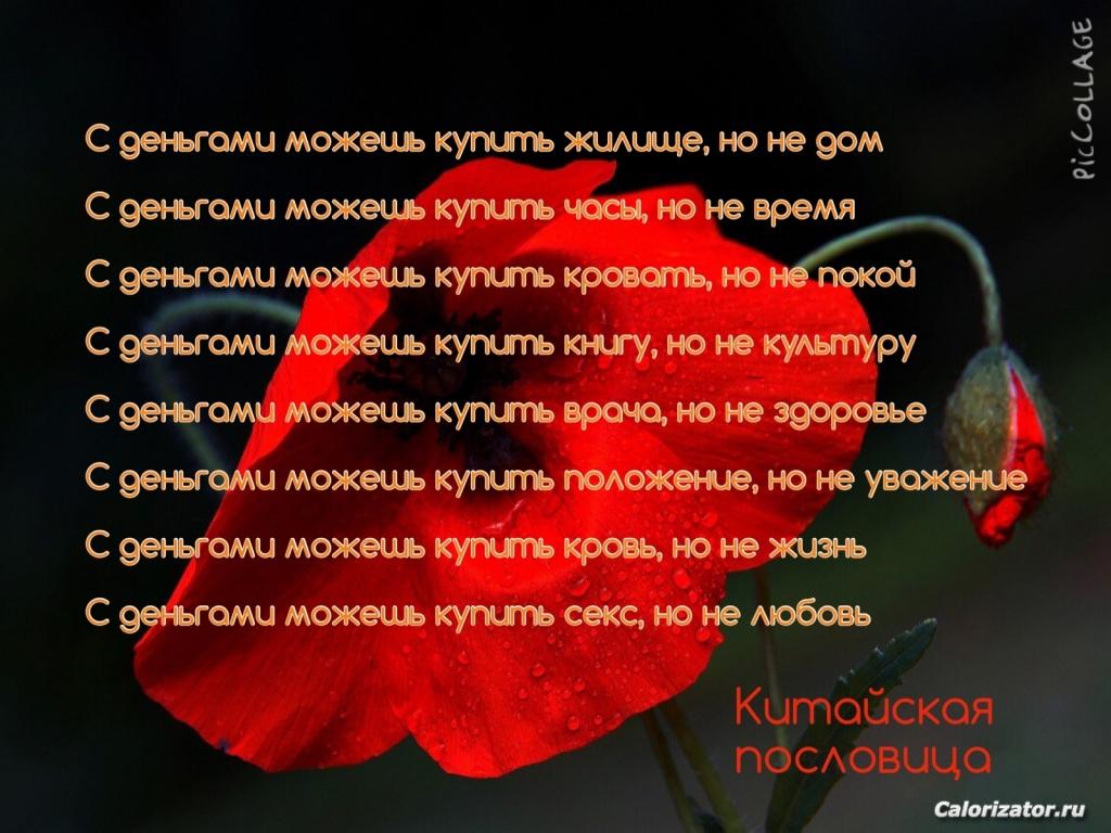 Китайская пословица