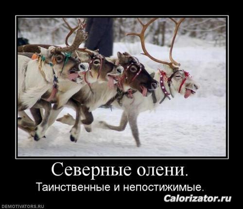 олени