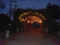 в парке