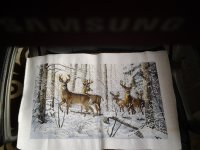 олени в снежном лесу