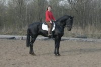 Гонконг 2007г