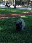 IMG 0117