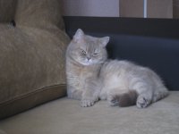 IMG 5869