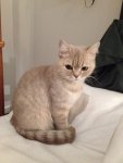 IMG 0037
