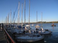 IMG 5943