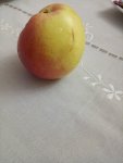 IMG 20181013 152018