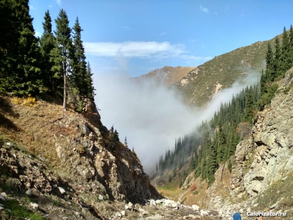 IMG-20180923-WA0003