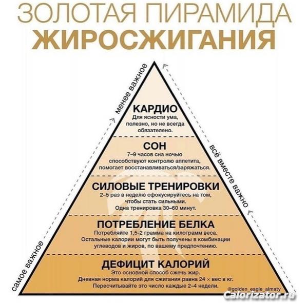 Пирамида жиросжигания