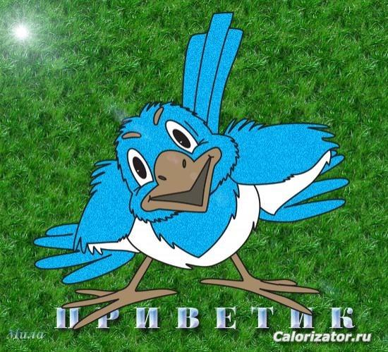 привет