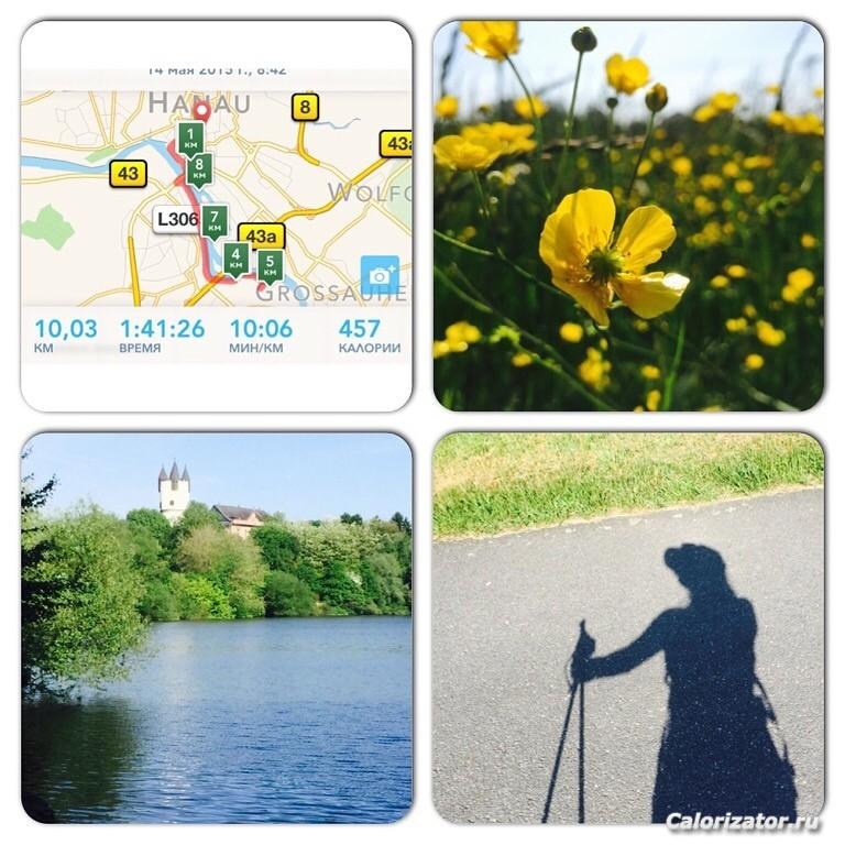СкандинавскаяХодьба - Nordic Walking