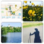 СкандинавскаяХодьба - Nordic Walking