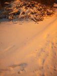 IMG 20171218 161919