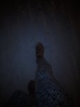 IMG 20181224 224935
