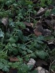 IMG-065ead3150c9563a1dfd1bd7a7941f78-V